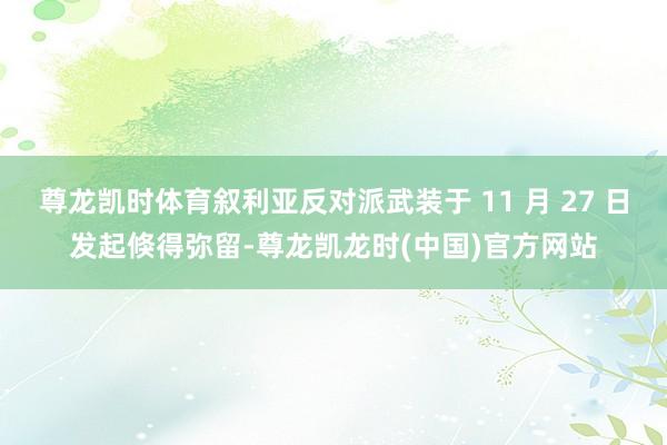 尊龙凯时体育叙利亚反对派武装于 11 月 27 日发起倏得弥留-尊龙凯龙时(中国)官方网站