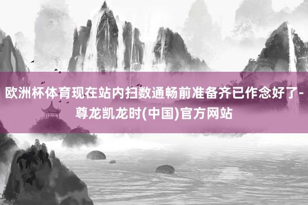 欧洲杯体育现在站内扫数通畅前准备齐已作念好了-尊龙凯龙时(中国)官方网站