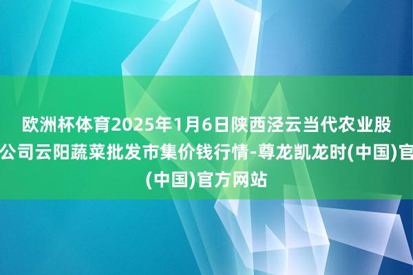 欧洲杯体育2025年1月6日陕西泾云当代农业股份有限公司云阳蔬菜批发市集价钱行情-尊龙凯龙时(中国)官方网站
