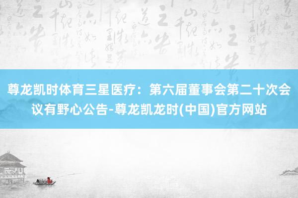 尊龙凯时体育三星医疗：第六届董事会第二十次会议有野心公告-尊龙凯龙时(中国)官方网站
