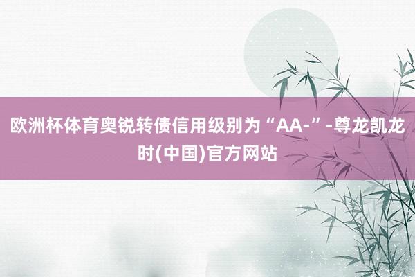 欧洲杯体育奥锐转债信用级别为“AA-”-尊龙凯龙时(中国)官方网站