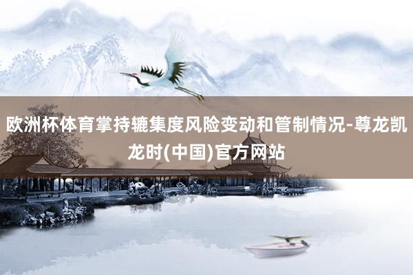 欧洲杯体育掌持辘集度风险变动和管制情况-尊龙凯龙时(中国)官方网站