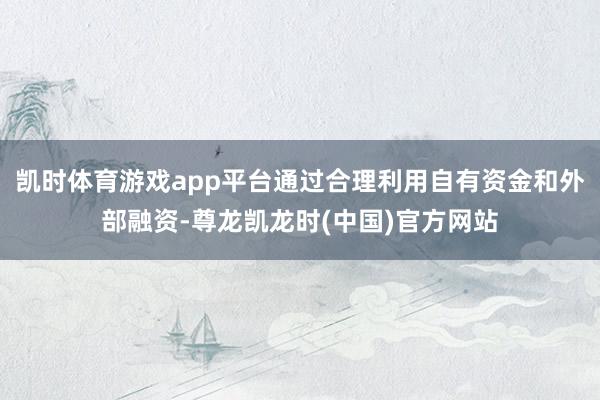 凯时体育游戏app平台通过合理利用自有资金和外部融资-尊龙凯龙时(中国)官方网站