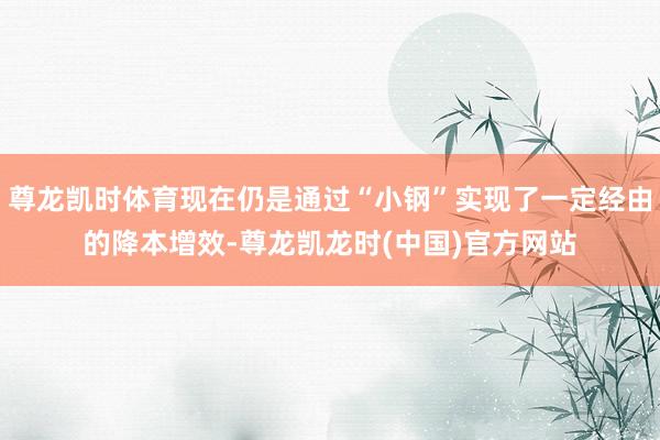 尊龙凯时体育现在仍是通过“小钢”实现了一定经由的降本增效-尊龙凯龙时(中国)官方网站