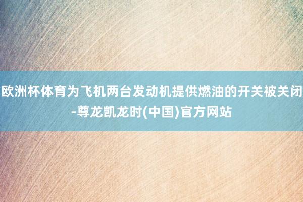 欧洲杯体育为飞机两台发动机提供燃油的开关被关闭-尊龙凯龙时(中国)官方网站