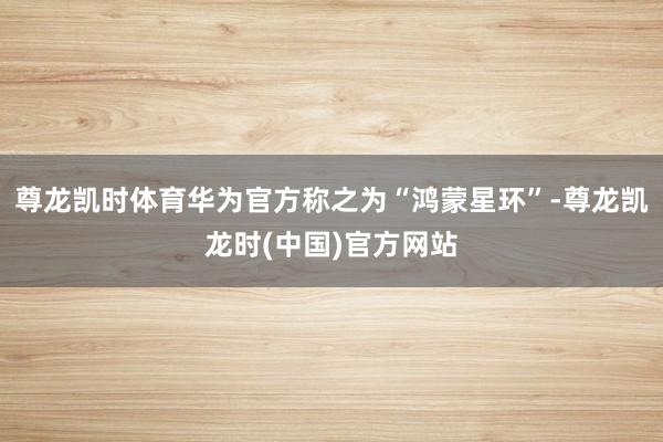 尊龙凯时体育华为官方称之为“鸿蒙星环”-尊龙凯龙时(中国)官方网站