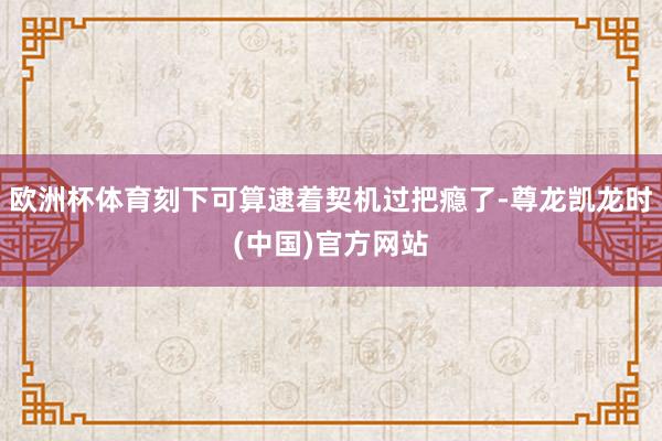 欧洲杯体育刻下可算逮着契机过把瘾了-尊龙凯龙时(中国)官方网站