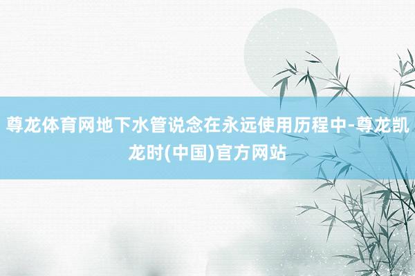 尊龙体育网地下水管说念在永远使用历程中-尊龙凯龙时(中国)官方网站