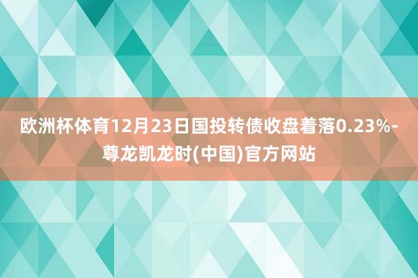 欧洲杯体育12月23日国投转债收盘着落0.23%-尊龙凯龙时(中国)官方网站