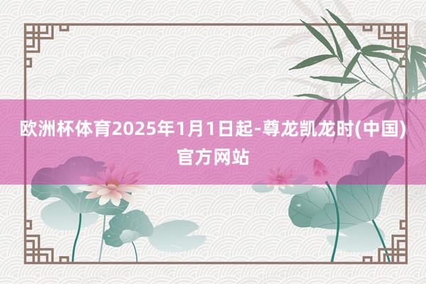 欧洲杯体育2025年1月1日起-尊龙凯龙时(中国)官方网站