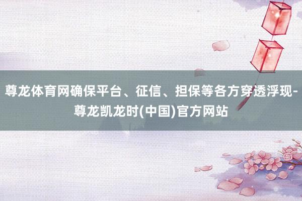 尊龙体育网确保平台、征信、担保等各方穿透浮现-尊龙凯龙时(中国)官方网站