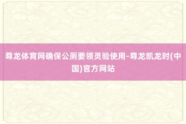 尊龙体育网确保公厕要领灵验使用-尊龙凯龙时(中国)官方网站