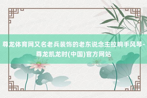 尊龙体育网又名老兵装饰的老东说念主拉响手风琴-尊龙凯龙时(中国)官方网站