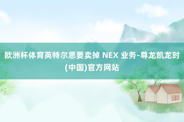 欧洲杯体育英特尔思要卖掉 NEX 业务-尊龙凯龙时(中国)官方网站
