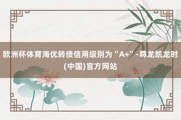 欧洲杯体育海优转债信用级别为“A+”-尊龙凯龙时(中国)官方网站