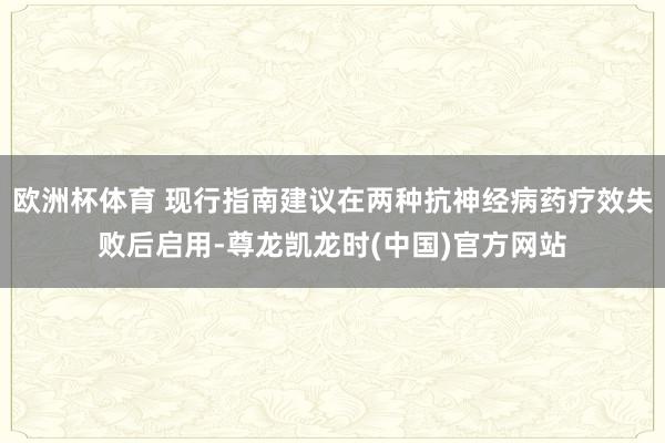 欧洲杯体育 现行指南建议在两种抗神经病药疗效失败后启用-尊龙凯龙时(中国)官方网站
