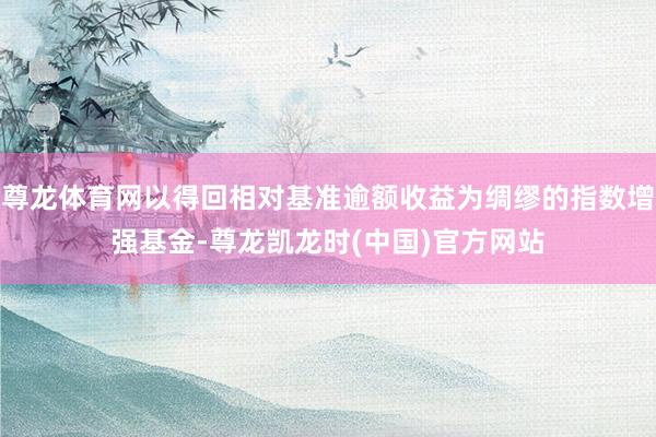 尊龙体育网以得回相对基准逾额收益为绸缪的指数增强基金-尊龙凯龙时(中国)官方网站
