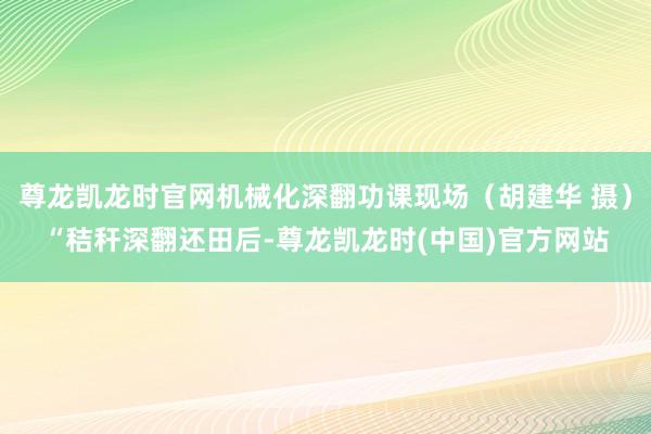 尊龙凯龙时官网机械化深翻功课现场（胡建华 摄）“秸秆深翻还田后-尊龙凯龙时(中国)官方网站