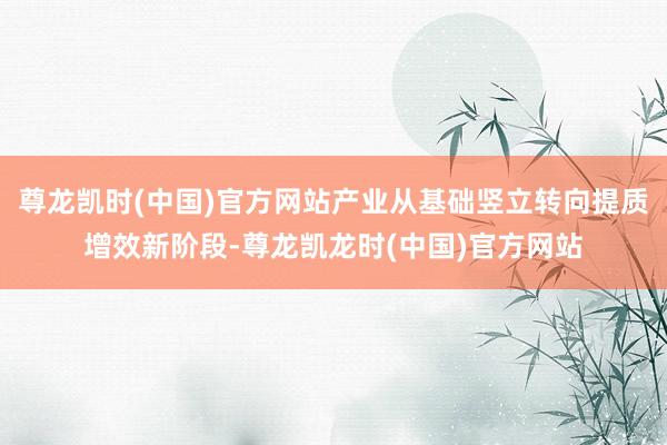 尊龙凯时(中国)官方网站产业从基础竖立转向提质增效新阶段-尊龙凯龙时(中国)官方网站