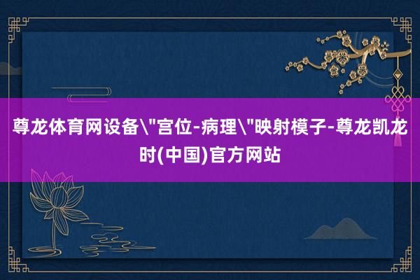 尊龙体育网设备