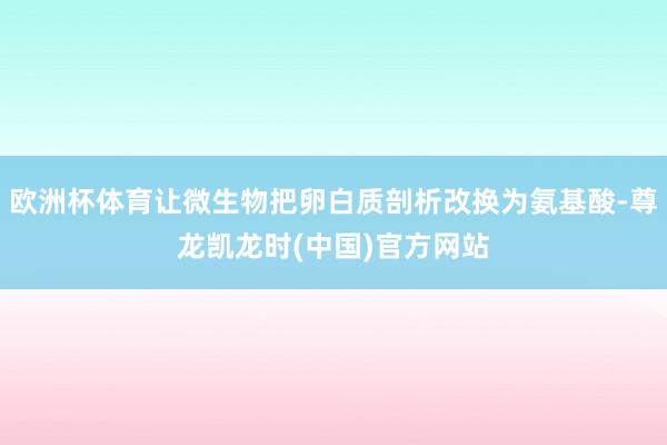 欧洲杯体育让微生物把卵白质剖析改换为氨基酸-尊龙凯龙时(中国)官方网站
