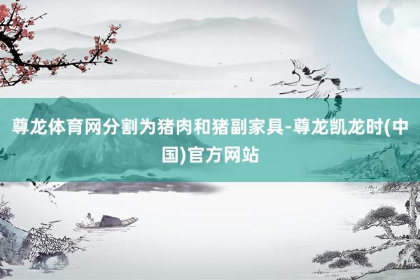 尊龙体育网分割为猪肉和猪副家具-尊龙凯龙时(中国)官方网站