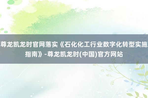 尊龙凯龙时官网落实《石化化工行业数字化转型实施指南》-尊龙凯龙时(中国)官方网站