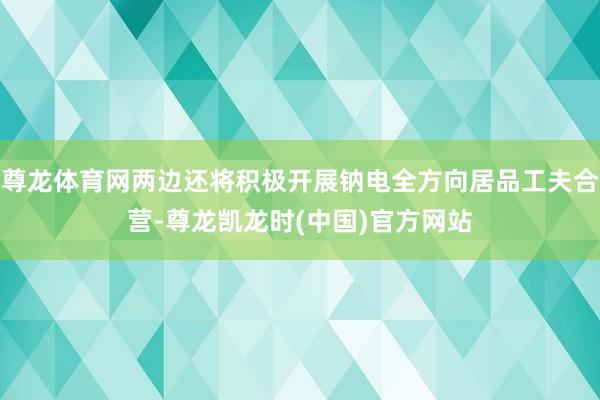 尊龙体育网两边还将积极开展钠电全方向居品工夫合营-尊龙凯龙时(中国)官方网站