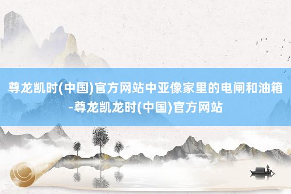 尊龙凯时(中国)官方网站中亚像家里的电闸和油箱-尊龙凯龙时(中国)官方网站