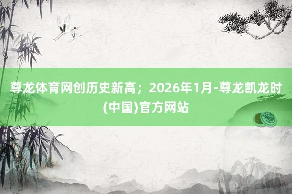 尊龙体育网创历史新高；2026年1月-尊龙凯龙时(中国)官方网站